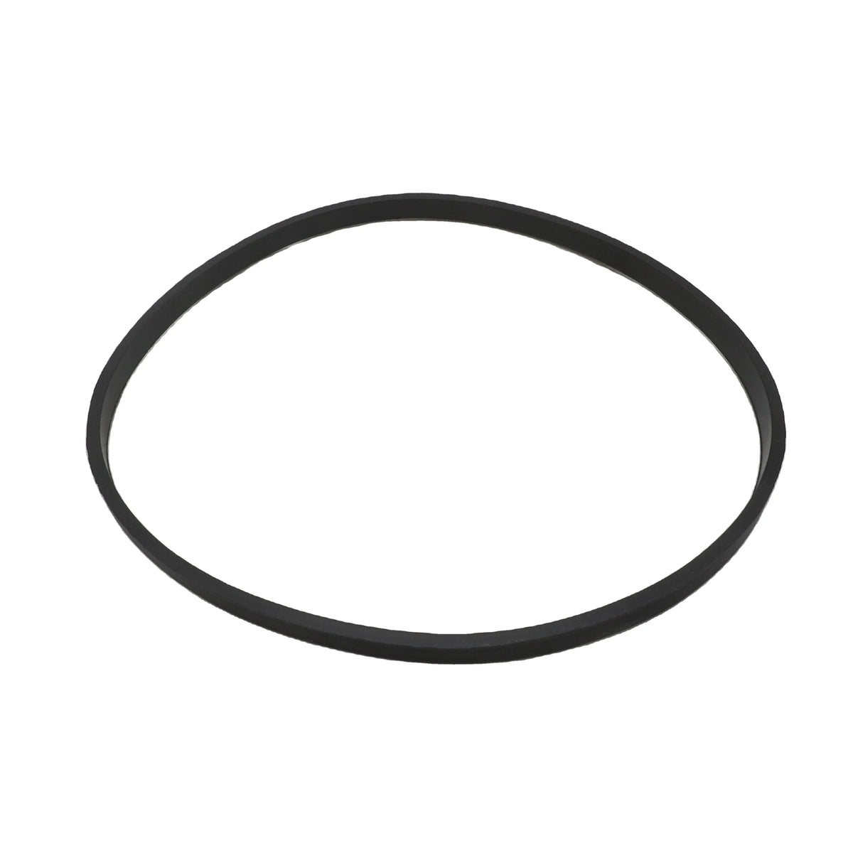 Hot Selling Rectangular Seal Ring 3912473