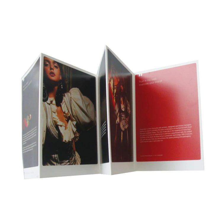 Custom Trifold Cheap Business Promotional Product Catalogue Brochure Printing Flyer Advertising Pamphlet