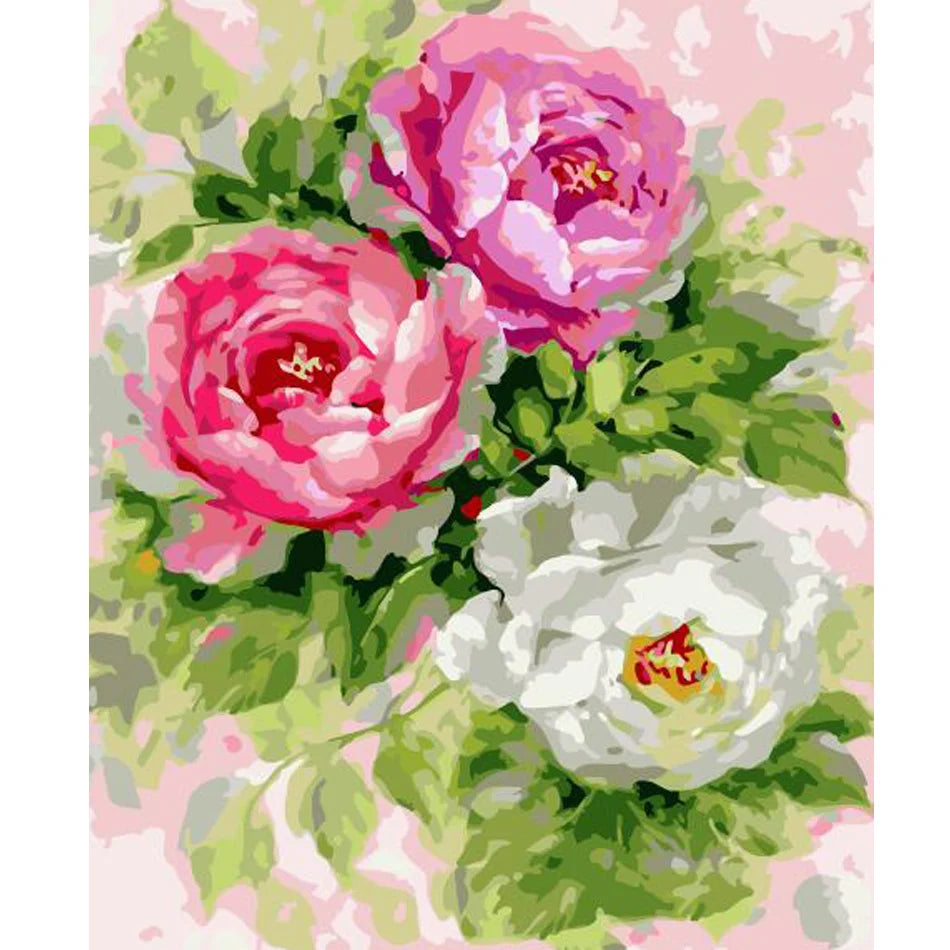 Paint by Numbers for Adults Kits Diy Gift Flowers Modern Wall Art Picture on Numbers Painting for Home Wall Decors 40x50cm