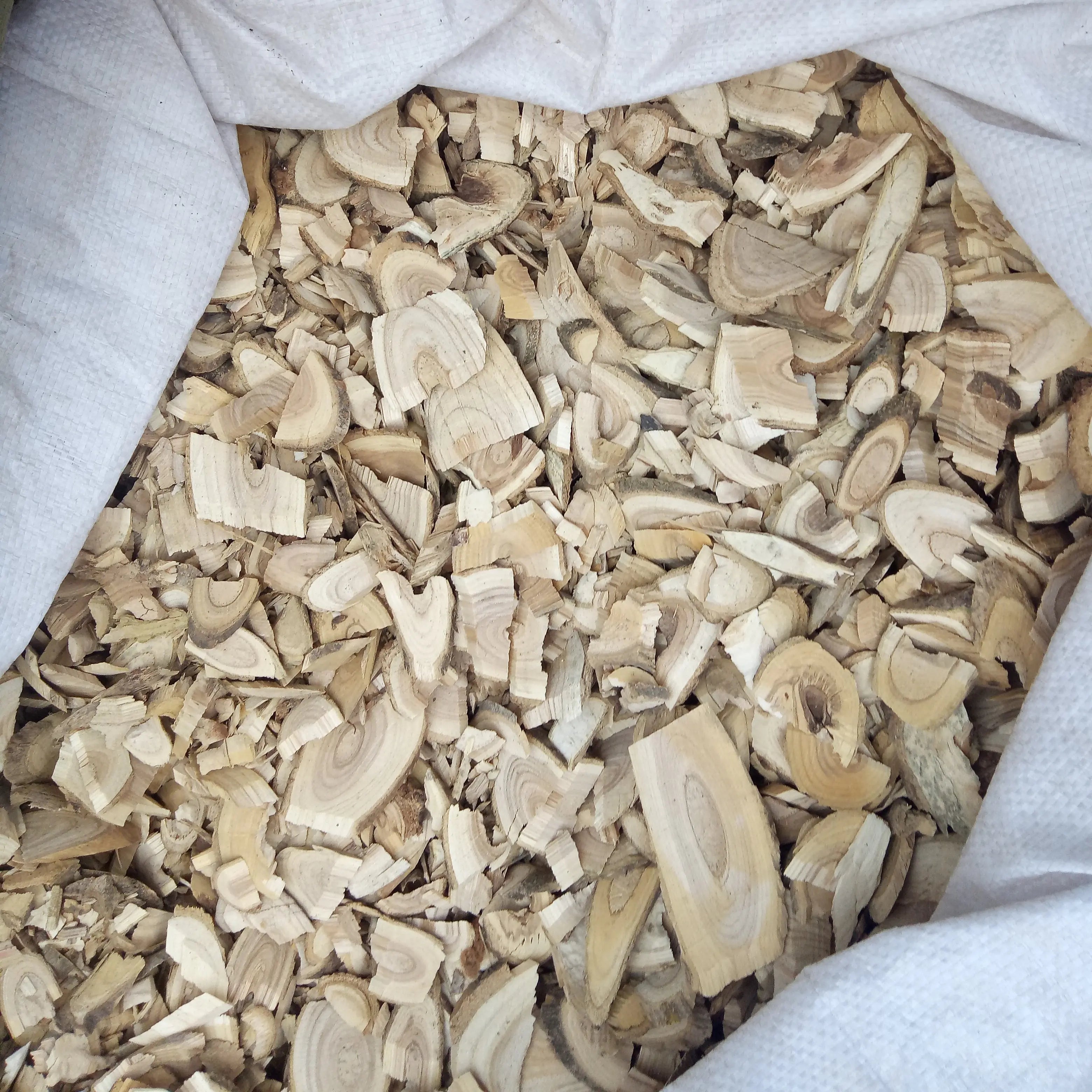 Natural Sliced RADIX ET CAULIS ACANTHOPANACIS SENTICOSI Acanthopanax Senticosus Stem Cuts for Sale