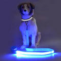 Rechargeable Fluorescent Dog Leash and Collar Set Luminous Led Light up Dog Collar Rope Leash for Night Walking Glow in the Dark
