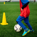 High-Density Sports Carpet Soccer and Tennis Artificial Grass Flooring Football Field Futsal Lawn Carpet