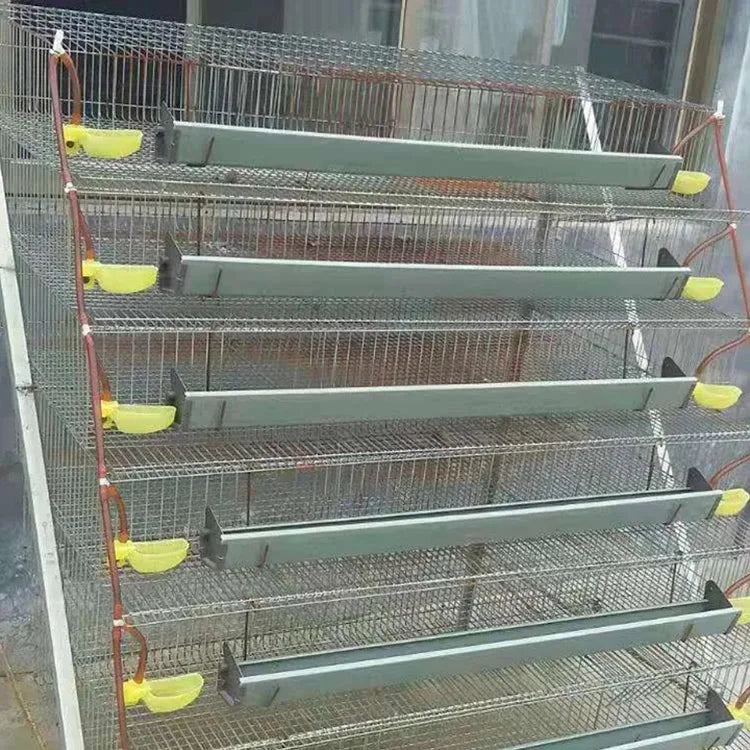 Poultry Farming Galvanized Wire Mesh Quail Battery Chicken Coop Cage