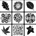 Manufacturer Wholesale Pet Milky White Translucent Leaves Flowers Stencil Painting Inkjet Set Template