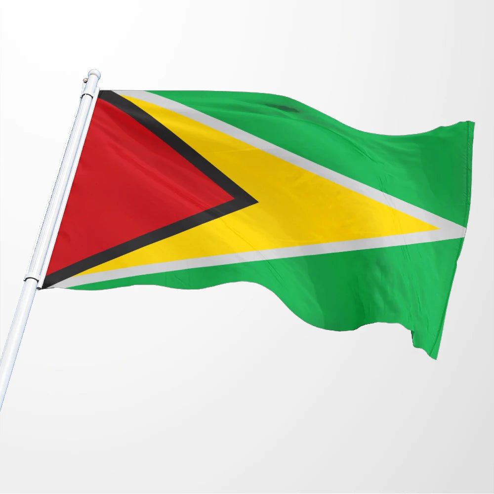 Promotional Product Factory Custom Logo 3x5 ft 100% Polyester Durable Outdoor Banderas De Paises Guyana Custom Guyana Flag