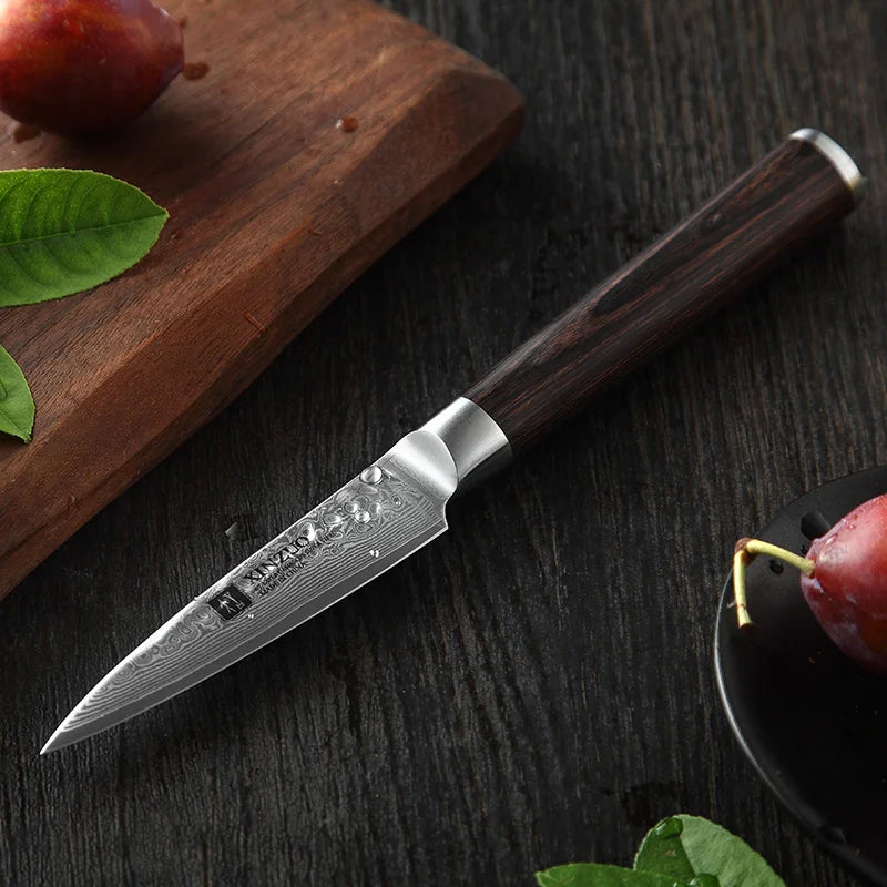 High Quality Professional Paring Knife 67 Layers Damascus Steel Fruit Knives Kitchen