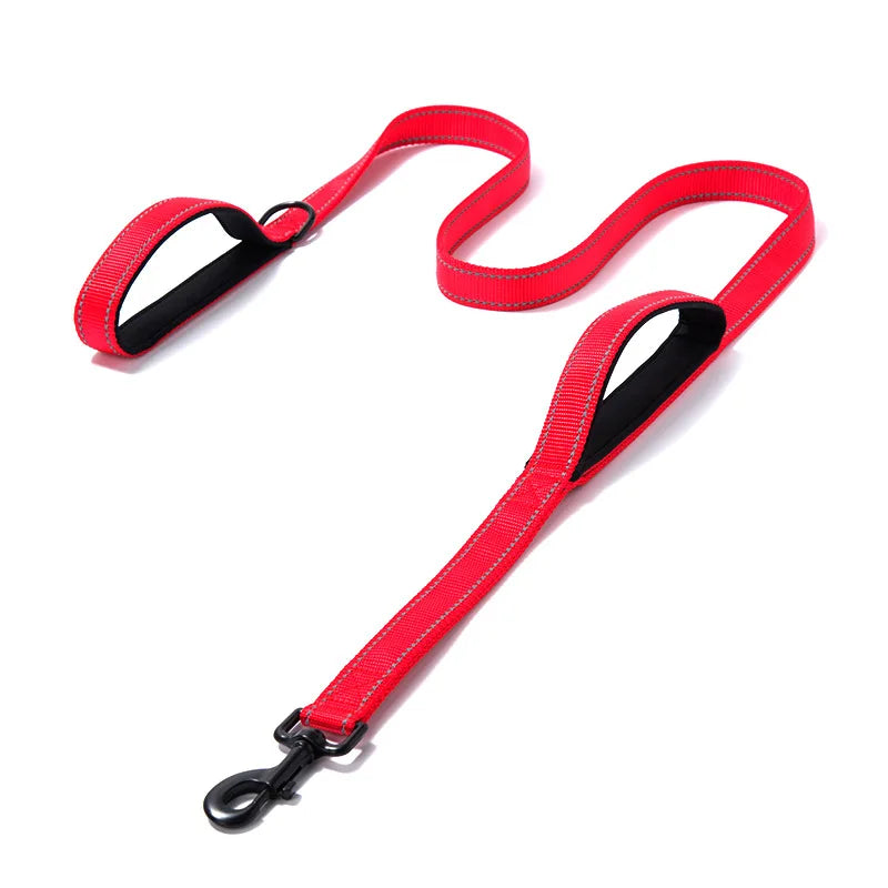 Kingtale Heavy Duty Dog Leash with 2 Comfortable Padded Handles Traffic Handle Advanced Easy Snap Hook for Pets