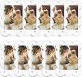 3x4 Acrylic for Magnets Scalloped Clear Photo Frame for Refrigerator Environment Friendly Fashionable Design Custom Logo