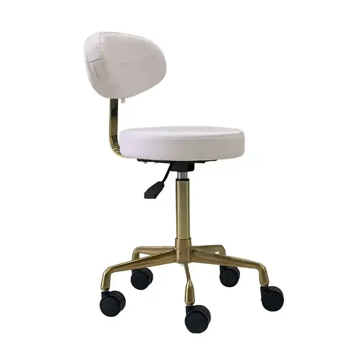 Hot Sell Salon Furniture Beauty Stool Multi-functional Golden Dentist Chair