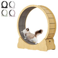 OEM ODM Cat Running Wheel Interactive Wooden Treadmill for Cats Exercise Toy Customizable Cat Fitness Toy Factory Supplier