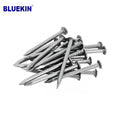 Factory Nail Zinc Wire Common Nails for Nail Gun