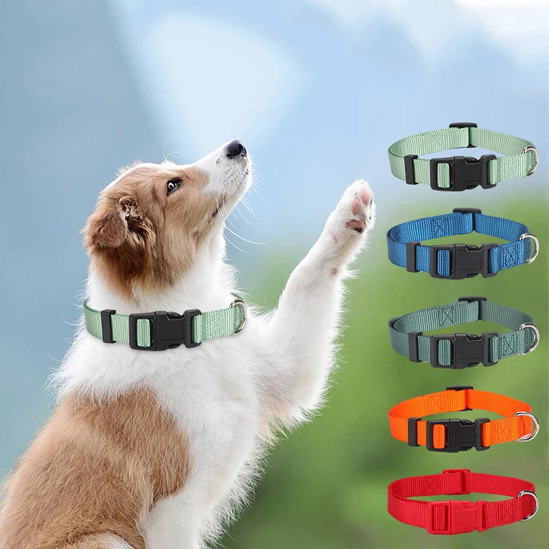 Adjustable Nylon Dog Collar Wholesale Private Label Custom Polyester Pet Collar