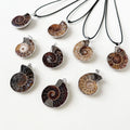 Natural Crystal Ammolite Slice Pendant Gemstone Charms Pendants