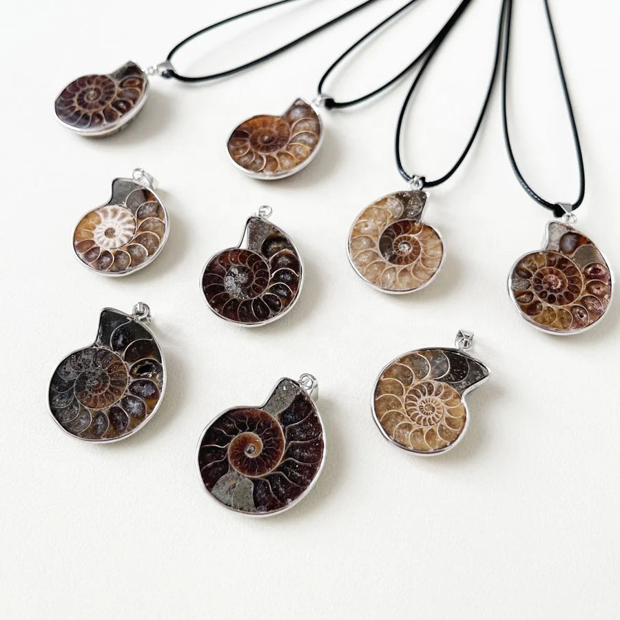 Natural Crystal Ammolite Slice Pendant Gemstone Charms Pendants