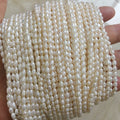 3 mm Rice Freshwater Pearl Loose Strand Wholesale Freshwater Pearl Strand A+ Grade Good Lusterfull Hole in Strand