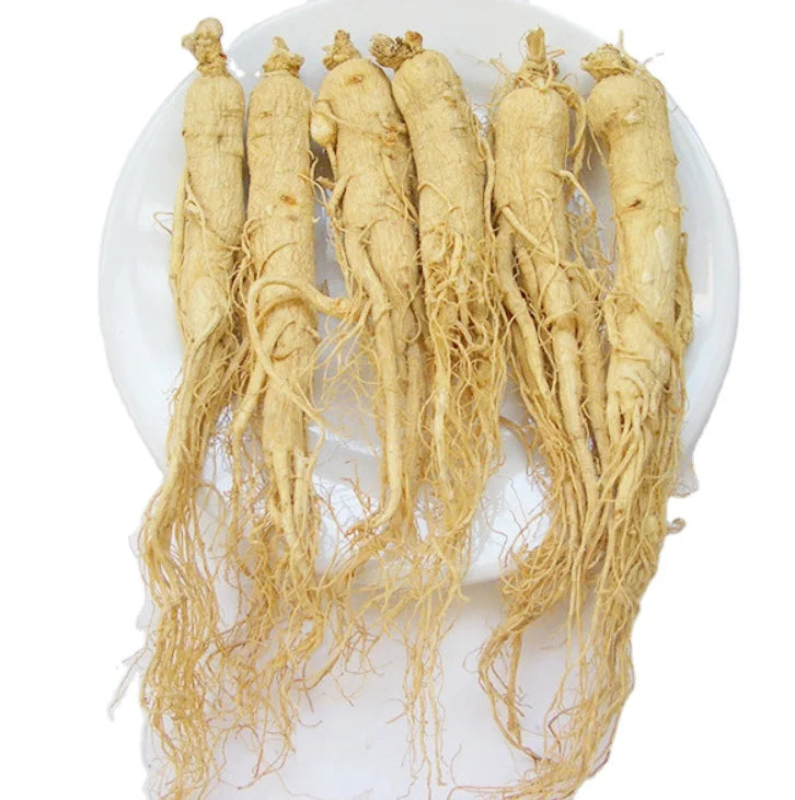 1KG Hotsale Old Years Dry Ginseng Radix Whole White Korean Ginseng Root Ginseng for Sale