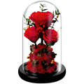 Valentines Mother Day Gift Real Fresh Dried Flower Forever Roses Preserved Flower in Glass Dome With Light