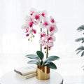 L875 Wedding Home Decoration Artificial Moth Orchid Simulation Butterfly Orchid 3D Real Touch Butterfly Orchid with Pot
