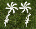 Wholesale Factory Supplier F001 10CM EVA Foam Tiare Hair Pick Artificial Hawaii Dance Party Decorative Flower Women Accessories