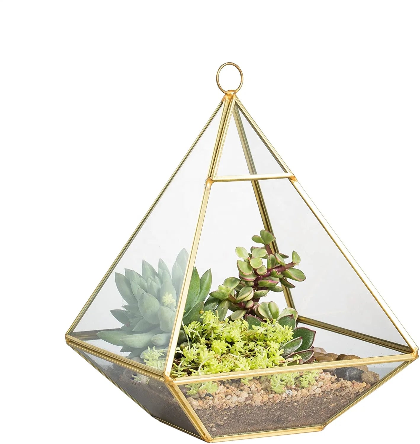 Air Plant Glass Holder Vase Irregular Gold Black Copper Glass Geometric Terrarium  for Succullent Plant