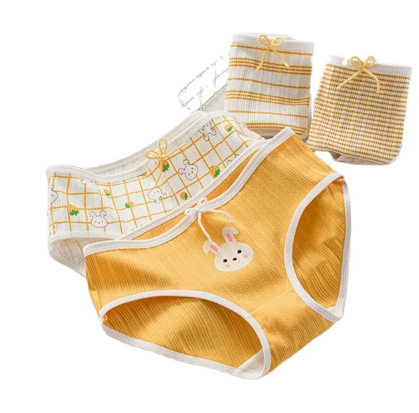 Wholesale Panties Cute Custom Girls Pants Cotton Briefs Women Underwear
