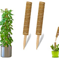 Jiuyi Natural Plants Moss Polet Palm Stick Stackable Cocoa Climbing Vine Plant Extended Support Rod