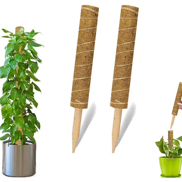 Jiuyi Natural Plants Moss Polet Palm Stick Stackable Cocoa Climbing Vine Plant Extended Support Rod