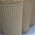 Hot Sale Wardrobe Furniture Raw Material Natural Cane Webbing Rattan Roll