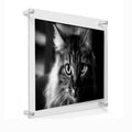 Modern Wall Mount Acrylic Photo Picture Frame with Standoff Chrome Bolt Contemporary Design
