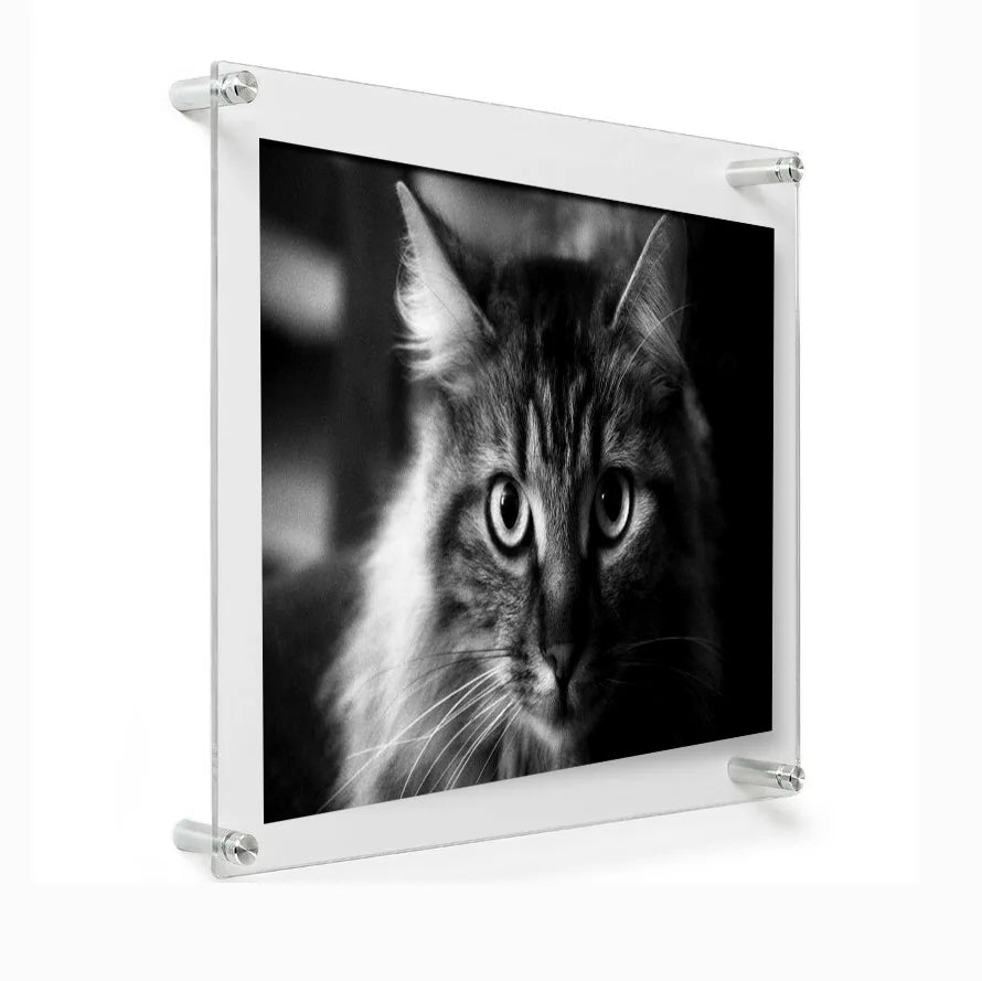 Modern Wall Mount Acrylic Photo Picture Frame with Standoff Chrome Bolt Contemporary Design