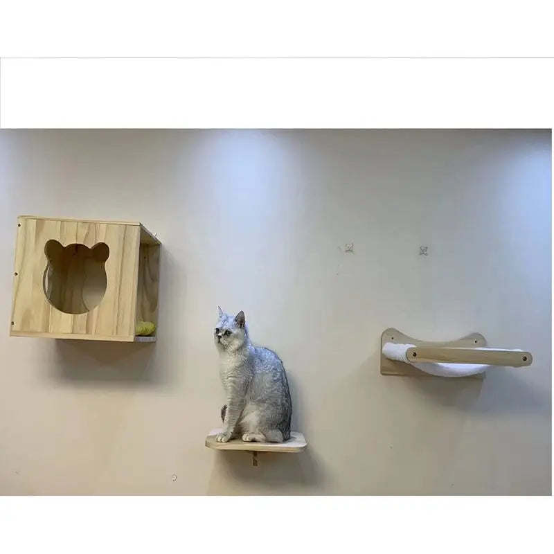 Modern Custom Small Bent Wood Cat Wall Shelf Pet Toy