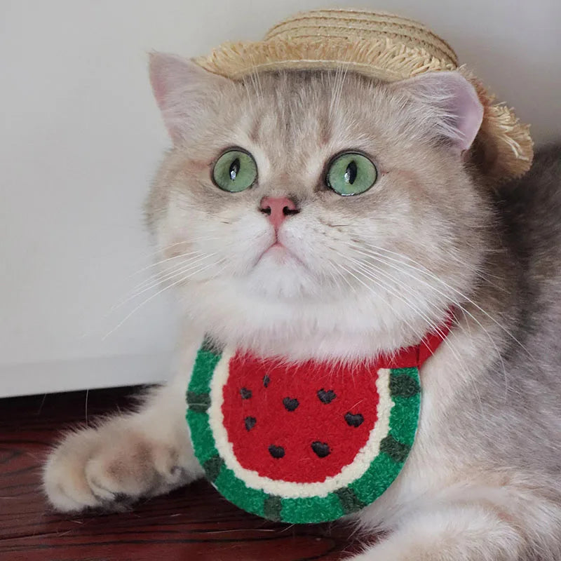 Shengchaoyi Luxury Cotton Pet Accessories Dog Cat Collar Bib and Puppy Scarf Cartoon Watermelon Dress up Classics Style