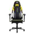 Hobot 2023 Executive Ergonomic Swivel Gaming Chair with New Design Lumbar Support