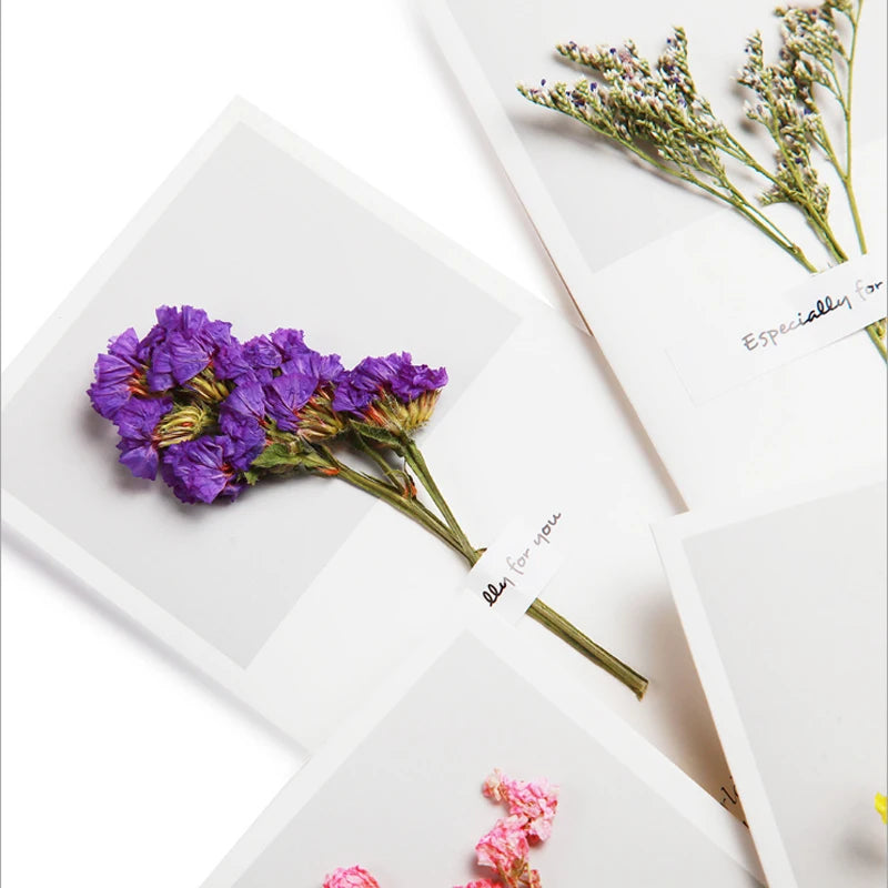 White Greeting Card Dried Flowers Gift Wishes Message Card Christmas Greeting Card Flowers Decoration DIY 16x9CM Customized