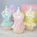 Pet Dress with Dog Harness Princess Skirt New Spring/Summer 23 Short Board Chest Back Skirt for Pet Dogs