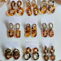 Classic Vintage Geometcontroller Adapter Receiverber Leopard Print Clear U Shape Acrylic Earrings Amber Women's Drop Earrings FS