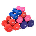 Home Gym Equipment Workouts Weights Neoprene Coated Hex Dumbbell Set Exercise Fitness Dumbbell