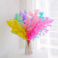 Wholesale Dried Flowers Lasting Preservation of Natural Plants Preservid Asparagus Myrioyadus Home Decoration Bridal Bouquet