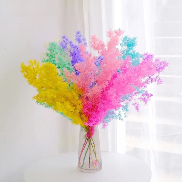 Wholesale Dried Flowers Lasting Preservation of Natural Plants Preservid Asparagus Myrioyadus Home Decoration Bridal Bouquet