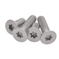 M3 M4 M5 M6 M8 Stainless Steel 304 ISO 14581 /GB 2673 Torx Hexalobular Socket Flat Head Screws