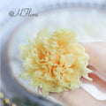 Hflora Mother's Day Decorative Flowers Immortal Flower Eternal Boxed Preserved Carnation Flower Head