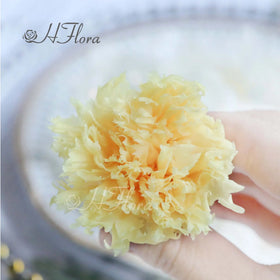 Hflora Mother's Day Decorative Flowers Immortal Flower Eternal Boxed Preserved Carnation Flower Head