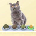 Natural Catnip Toys for Cats Refillable Cat Dental Treats Care Teeth Cleaning Edible Wall Balls Rotatable Licking Toy for Kitten