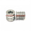 Stainless Steel SS316L Hex Drive Hexagon Head Silver Color Hard Wood Insert Nuts for Furnitures