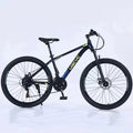 China Factory Cheap and Good Quality Mountain Bicycle 20/22 /24/26 Inch 21/24 Speed Adult Bike Student Bicycle