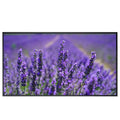 China Foshan Manufacturer Purple Lavender Scenery Painting 3D Canvas Painting Unstretched Canvas Art Flower Designs