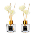 50ML 100ML Reed Diffuser Aromatherapy Glass Bottle and Scented Oil Fragancia Difusor Perfume Bottle