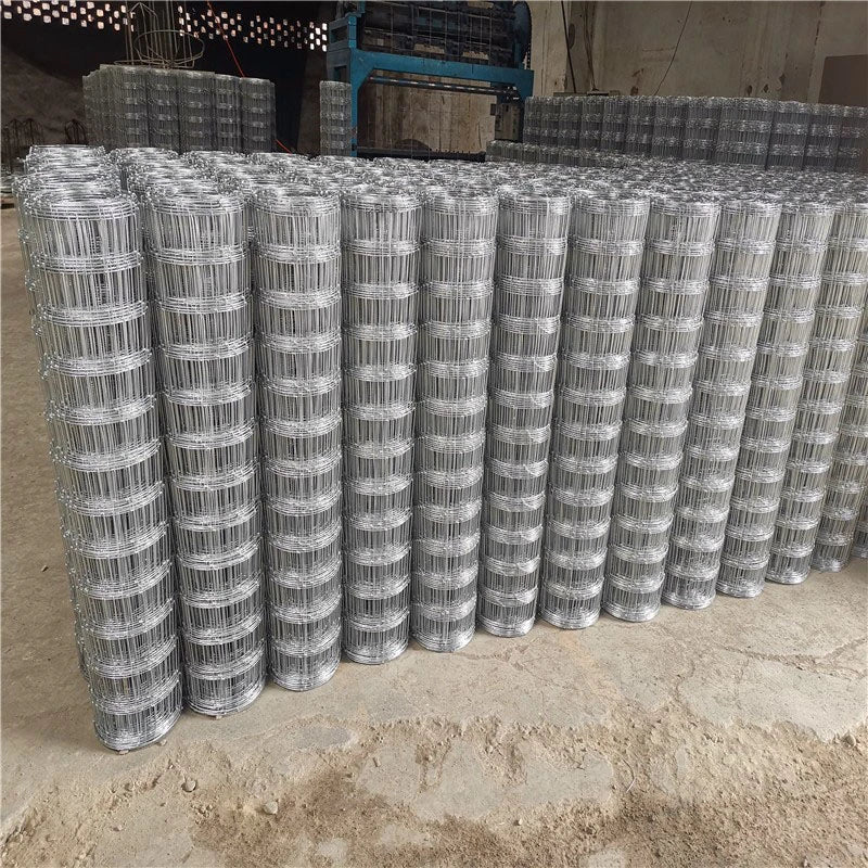 Modern Design Meteal Iron Wire Mesh Fence Roll for Deer Field Farm Fence Factory Suppliers Waterproof Security Gates