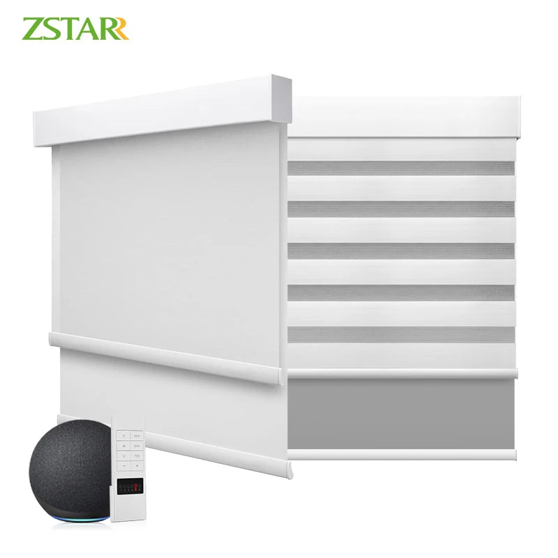 Smart Blinds Alexa Motorized Day and Night zebra Roller Curtain Fabric Shades zebra Window Blinds Automatic Blinds