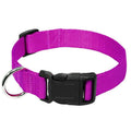 New Nylon Dogs Training Dog Collar Combat Pet Collar for With Control Handle